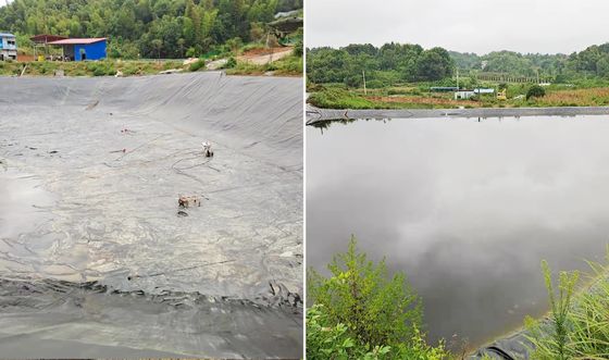 Geomembrana lisa de HDPE de alto rendimiento para acuicultura y piscicultura