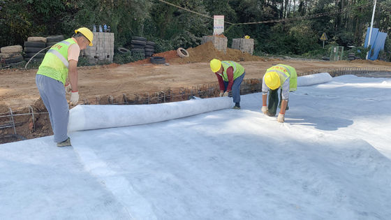 Geotextil no tejido de poliéster de gran longitud con un peso de 100-800 g/m2 y una excelente resistencia a ácidos y alcalinos para la ingeniería civil de alta resistencia