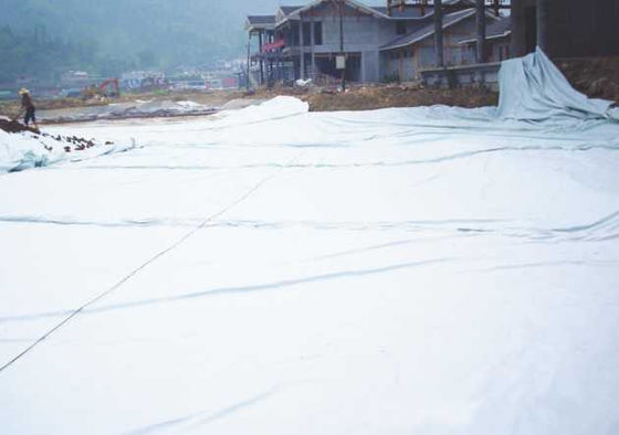 Geotextil perforado con aguja de fibra larga para vertederos y desechos de estanques de ingeniería de estanques PET Polyester Chips Ancho 1,0m-6,6m