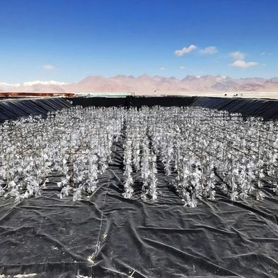 Geomembrana lisa de HDPE resistente al ácido y alcalino, resistente al desgarro para el proyecto de ingeniería anti filtración
