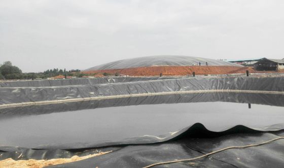 Geomembrana lisa de HDPE anti filtración para el proyecto de agricultura de estanques de peces Ancho 1m-9m Largo 30-100m espesor> 0,5mm