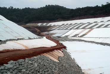 Geonet compuesto tridimensional 200 g/m2 para el sistema de drenaje y protección