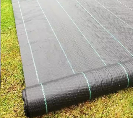 Excelente filtración y drenaje Geotextil tejido de polipropileno negro