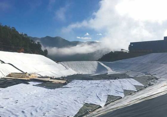 Solución para la Eficiencia de Proyectos a Gran Escala - Geotextil de Filamento de Ancho Personalizable para Instalación Rápida en Obra