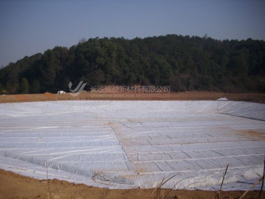  Durable Polypropylene Woven Geotextile for Civil Engineering & Landfill Projects