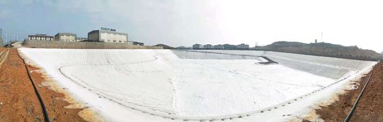 Geotextil de Fibra PET: Refuerzo de Alta Resistencia y Solución de Estabilización Duradera